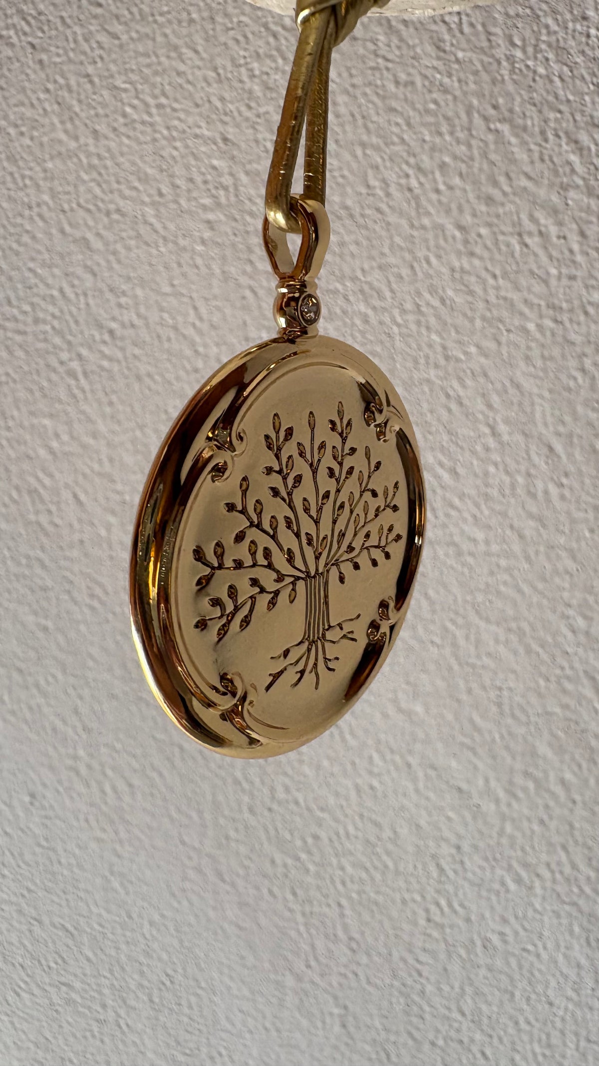 Caixa decorativa de acrílico de Fedspaldo e Banhada Bruta e Medalha da Família.