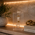 Caixa decorativa de acrílico de Pedras e Coração de Cristal.